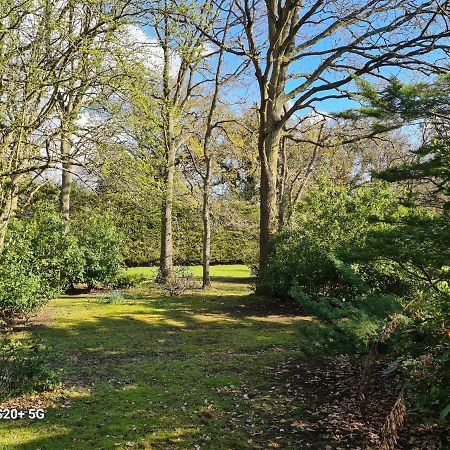 The Reading Whole Chalet With Lake And Two Acre Gardens المظهر الخارجي الصورة