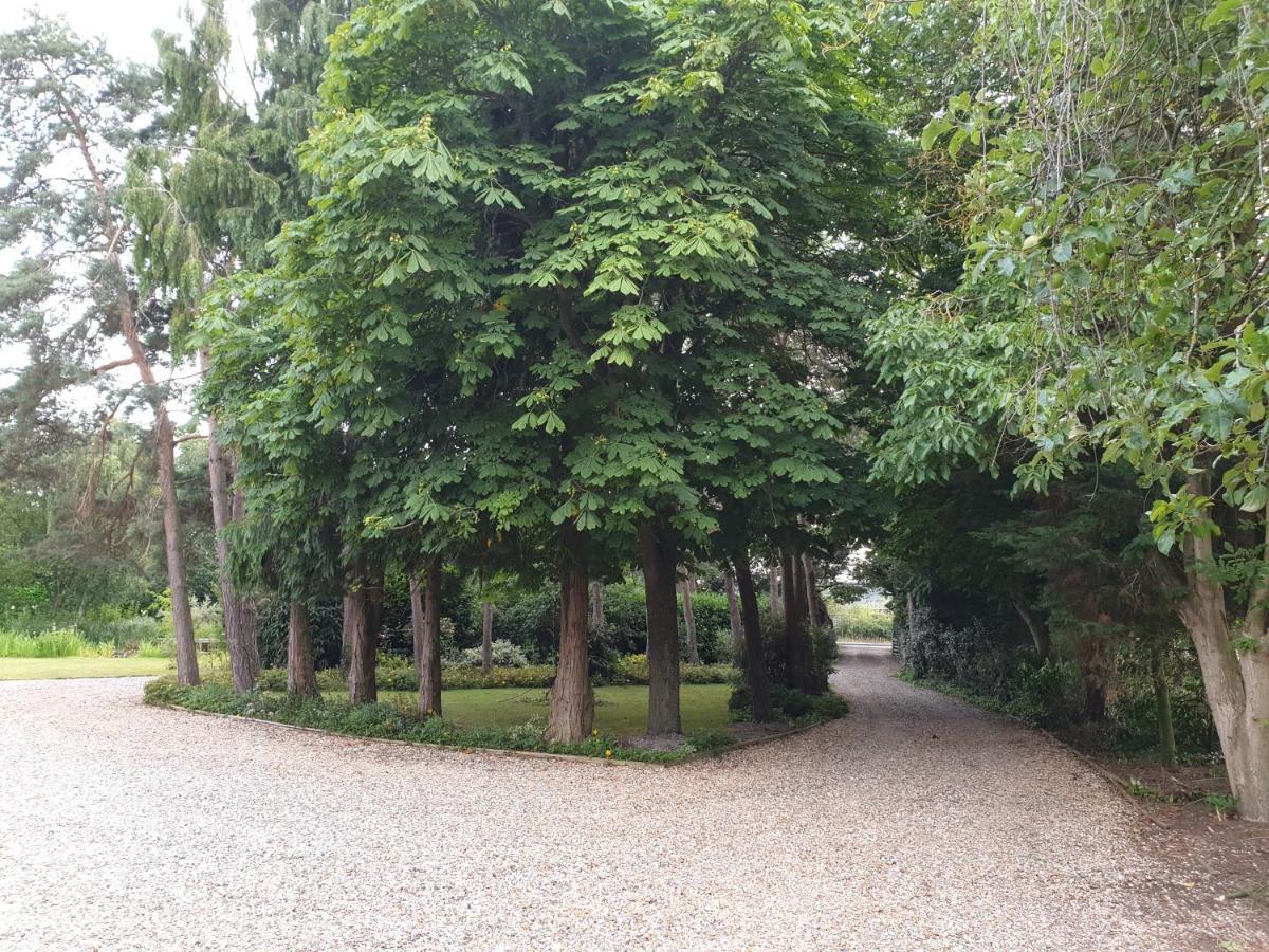The Reading Whole Chalet With Lake And Two Acre Gardens المظهر الخارجي الصورة
