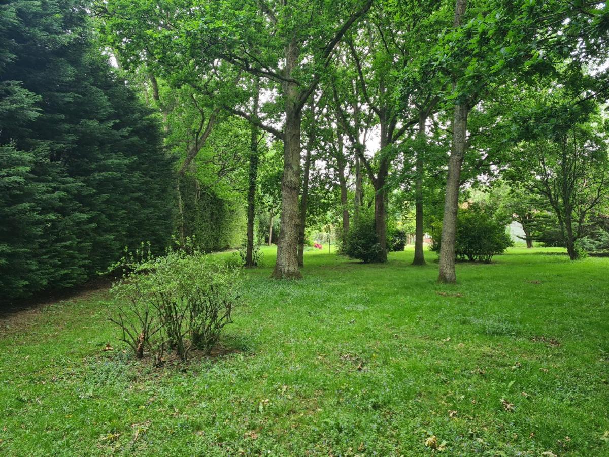 The Reading Whole Chalet With Lake And Two Acre Gardens المظهر الخارجي الصورة