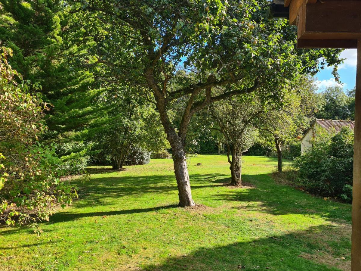 The Reading Whole Chalet With Lake And Two Acre Gardens المظهر الخارجي الصورة